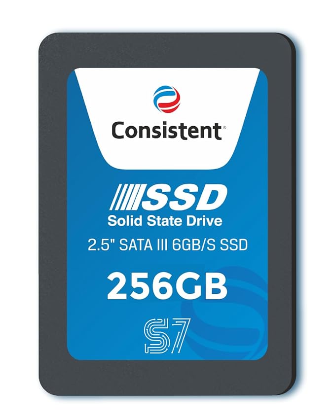 CONSISTENT SSD 256 GB